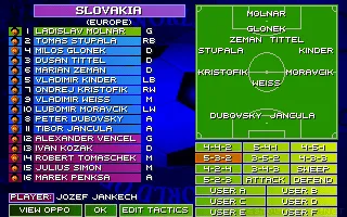 Sensible World of Soccer